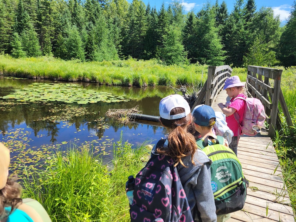 Hiking at WILDE Adventure Summer Camp